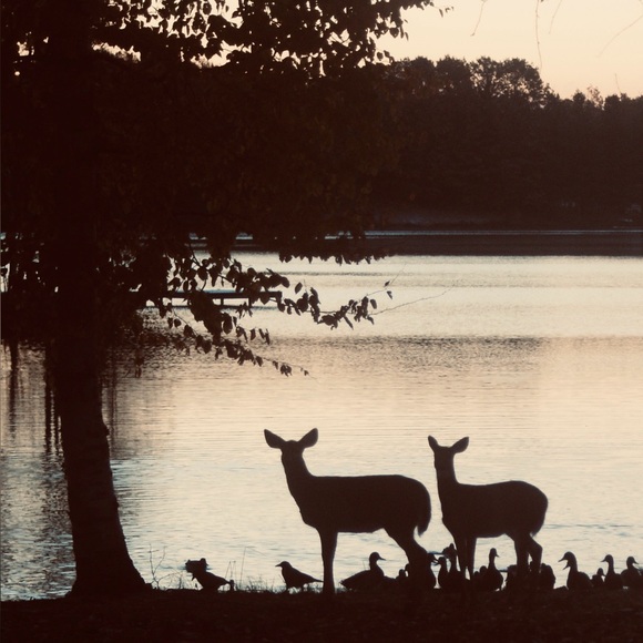 Meet your Posher, George McFly - Picture 1 of 1